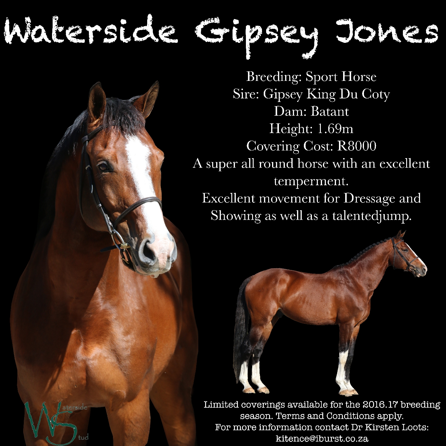 waterside-gipsey-jones